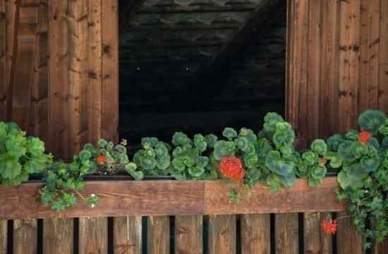 Casa Bergheim - S. Andrea/Bressanone - Alto Adige/Italia